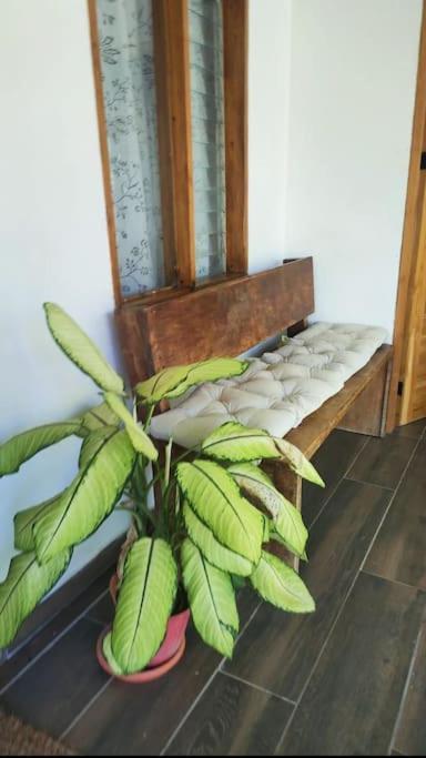 Casa Paraiso Manzanillo  Esterno foto