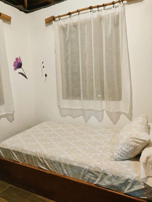 Casa Paraiso Manzanillo  Esterno foto