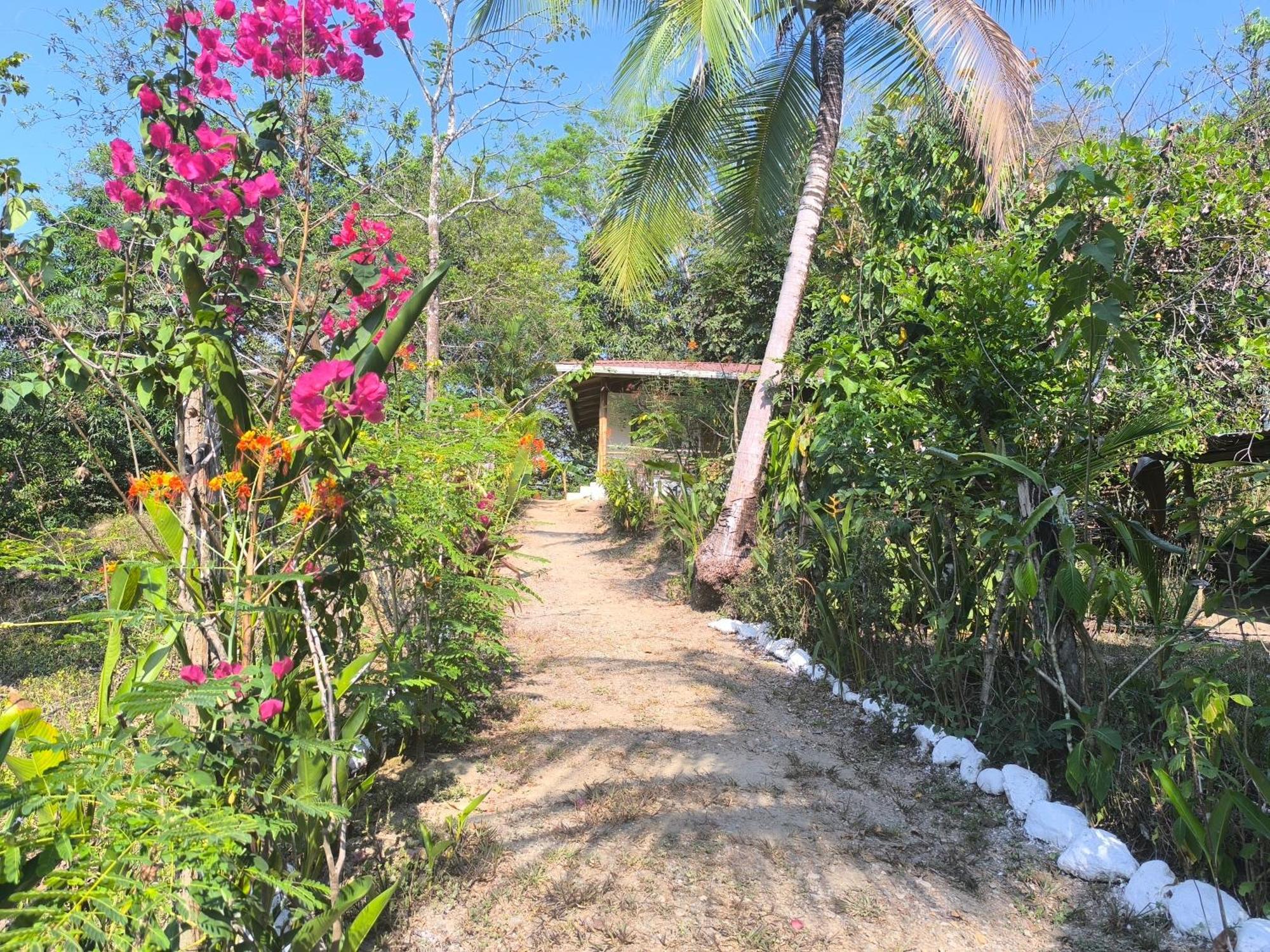 Casa Paraiso Manzanillo  Esterno foto